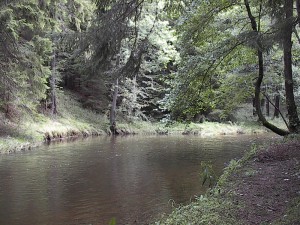 2001.08.08 09.37.42.jpg